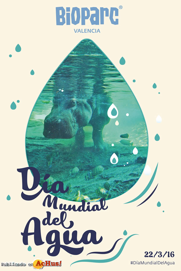 /public/fotos3/Cartel-Dia-Mundial-del-Agua-22032016.jpg