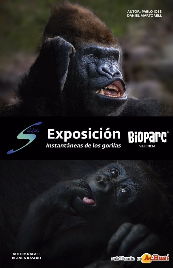 /public/fotos3/Cartel-Exposicion-Fotografica-Solofoto-18102019.jpg