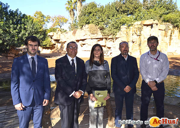 /public/fotos3/Damm-Fundacio-13122017.jpg