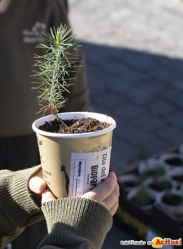 /public/fotos3/Dia-del-arbol-2020.jpg