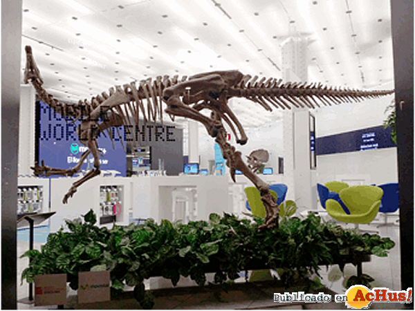 /public/fotos3/Dinopolis-02122015.png