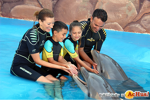 /public/fotos3/Encuentro-delfines-12122017.jpg