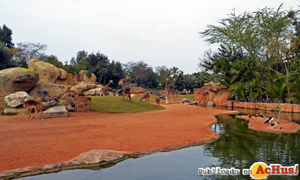 /public/fotos3/Expedicion-Africa-Navidad-2015.jpg