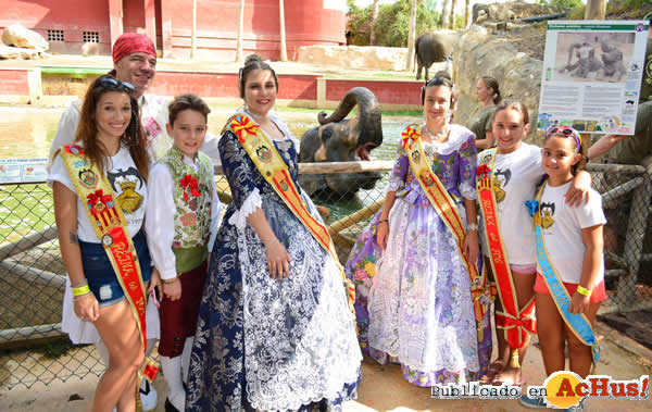 /public/fotos3/Falleras-elefanta-Kaiso-27092016.jpg