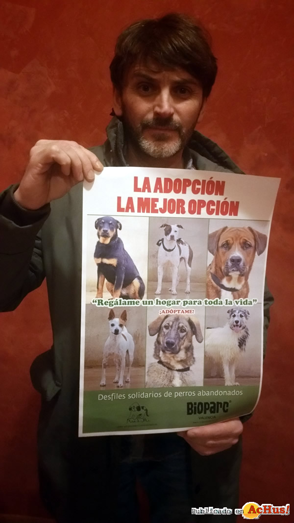 /public/fotos3/Fernando-Tejero-apoya-Desfile-perros-AUPA-BIOPARC-25052017.jpg