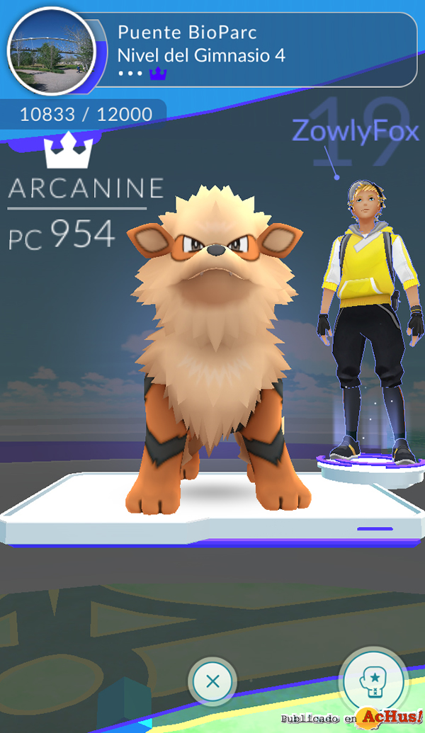 /public/fotos3/Gimnasio-PuenteBioparc-22072016.jpg