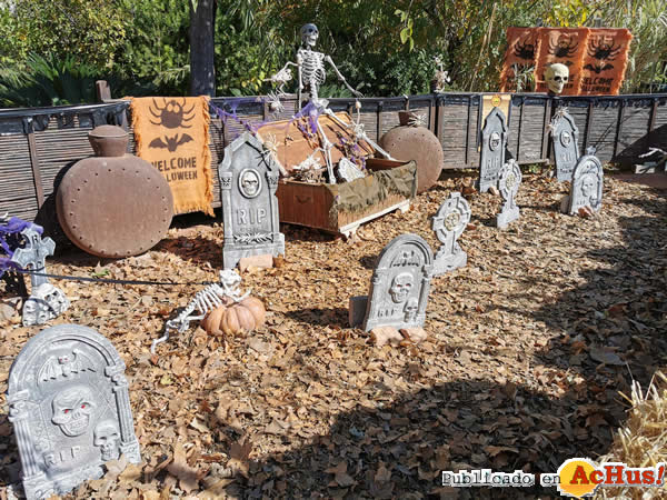 /public/fotos3/Halloween-Terra-Natura-1-29102020.jpg