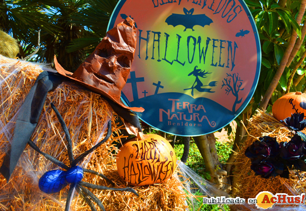 /public/fotos3/Halloween-Terra-Natura-Benidorm-02.jpg