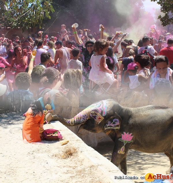 /public/fotos3/Holi.19082016.jpg