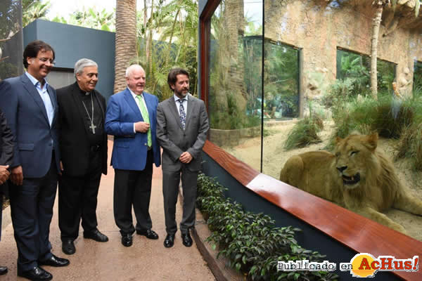 /public/fotos3/Inauguracion-Leones-26052017.jpg