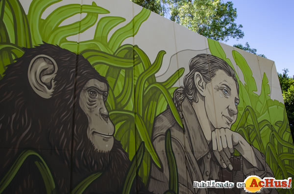 /public/fotos3/Mural-Jane-Goodall-16102020.jpg