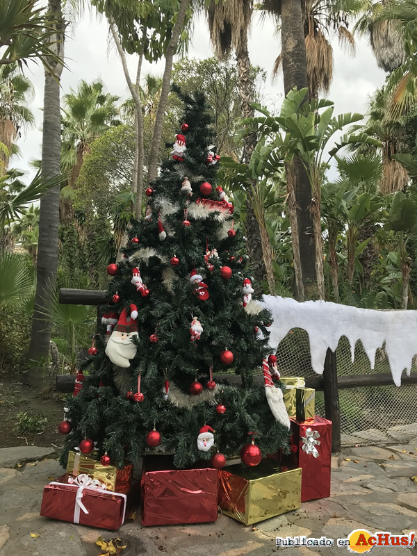 /public/fotos3/Navidad-Selwo-Aventura-2019.jpg