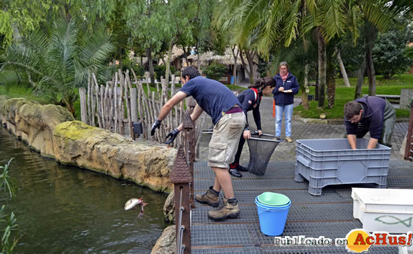 /public/fotos3/Pesca-electica-13012016.jpg