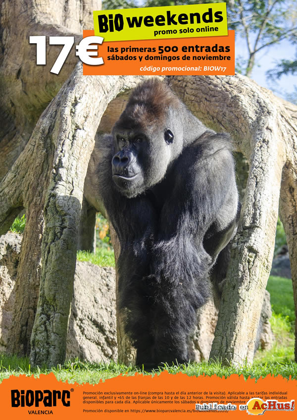 /public/fotos3/Promocion-online-BIOweekends-BIOPARC-20112020.jpg
