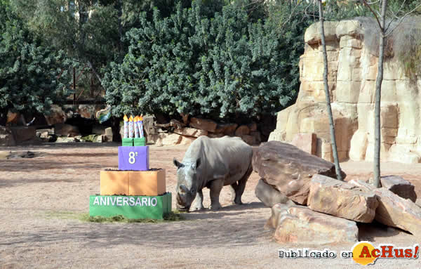 /public/fotos3/Rinoceronte-29022016.jpg