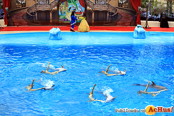 /public/fotos3/Show-de-delfines-Halloween-20092018.jpg