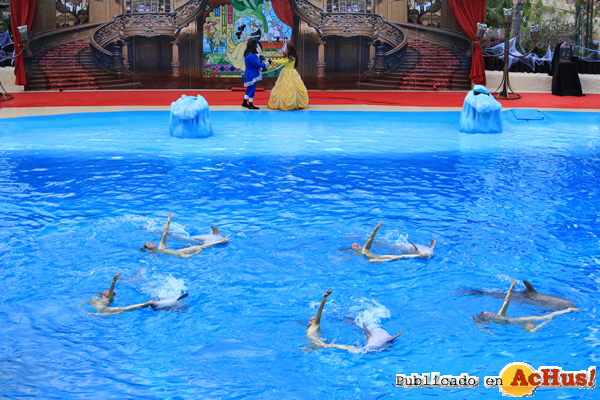 /public/fotos3/Show-de-delfines-Halloween-25092019.jpg