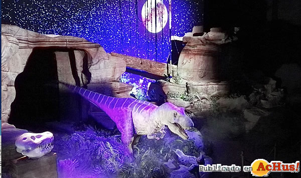 /public/fotos3/T-Rex-Show-25022019.jpg