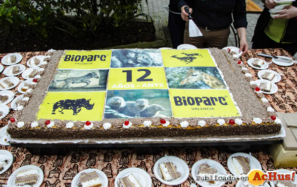 /public/fotos3/Tarta-12-aniversario-BIOPARC-Valencia.jpg