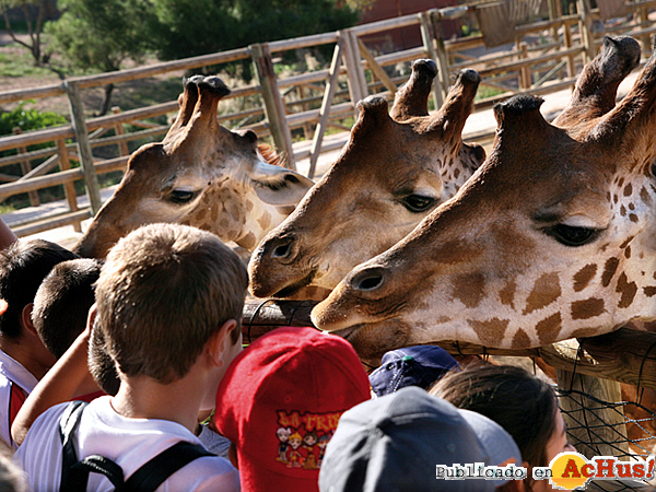 /public/fotos3/Terra-Natura-15122015.jpg