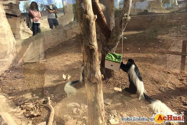 /public/fotos3/Terra-Natura-Murcia-12082017.jpg