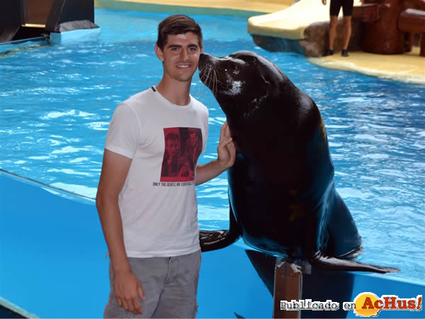 /public/fotos3/Thibaut-Courtois-25072016.jpg