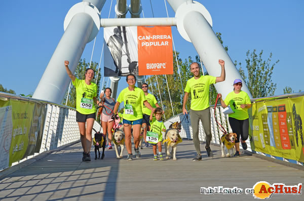 /public/fotos3/carrera-solidaria-con-perro-25092019.jpg