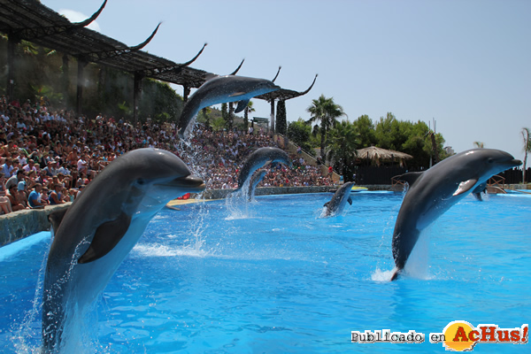 /public/fotos3/delfines-22032019.jpg