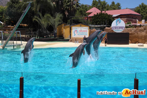 /public/fotos3/delfines-24022017.jpg