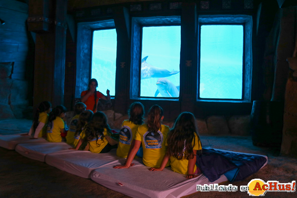 /public/fotos3/durmiendo-con-delfines-05072019.jpg