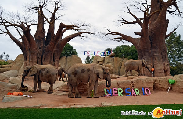 /public/fotos3/elefantes-bosque-baobabs-29022016.jpg