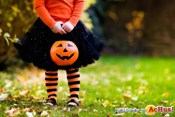 /public/fotos3/halloween-terra-natura-18102019.jpg
