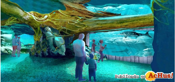 /public/fotos3/infografia-recreacion-acuario-jurasico-2019.jpg