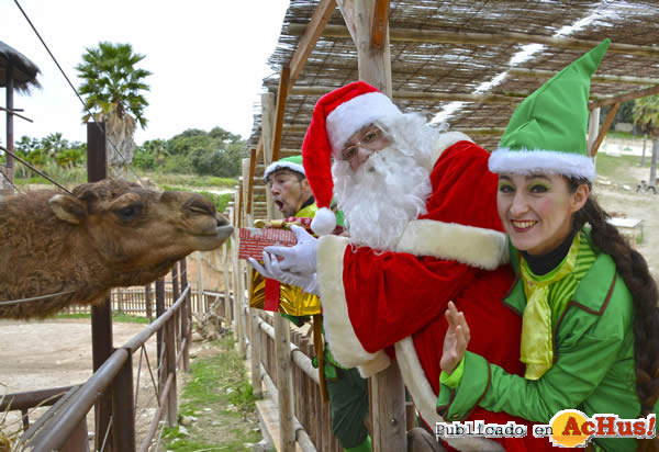 /public/fotos3/navidad-terra-natura-benidorm-2019.jpg