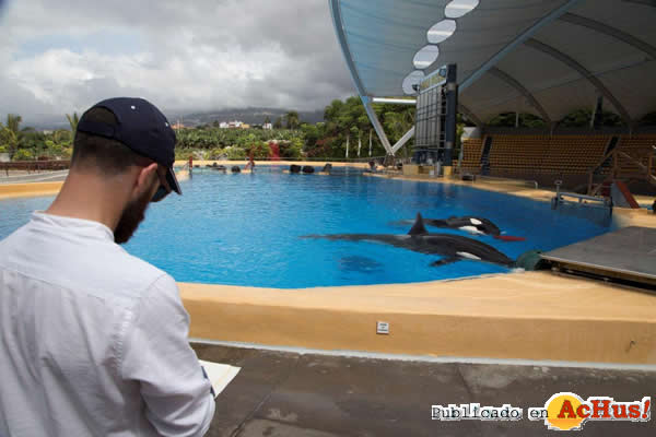 /public/fotos3/orcas-28052017.jpg
