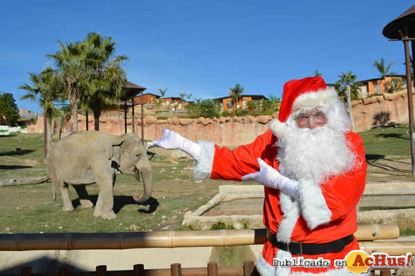 /public/fotos3/papa-noel-elefante-22122017.jpg