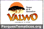 Logo de Valwo